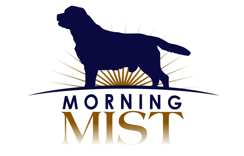 Morning mist logo